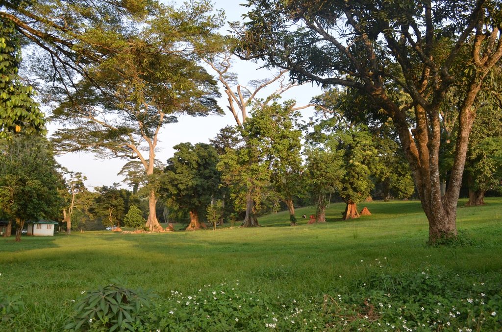 Entebbe Botanical Garden