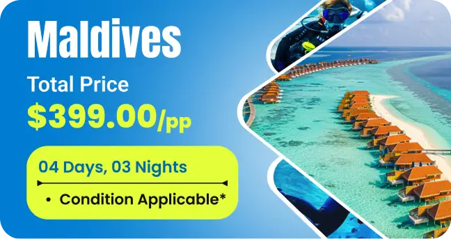 Trip Banner